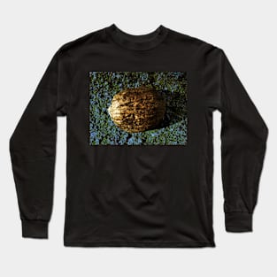 Golden Nut Shell Long Sleeve T-Shirt